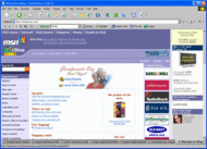 Fast Browser Pro screenshot